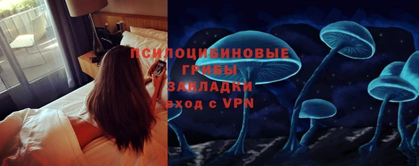 экстази Горняк