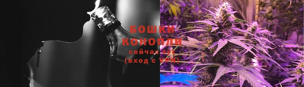 экстази Горняк