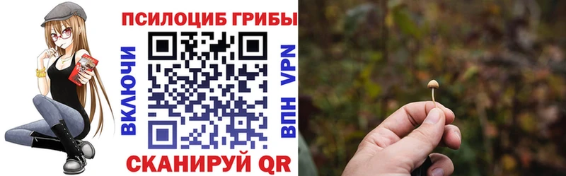 Галлюциногенные грибы мицелий  KRAKEN как зайти  Шагонар  где купить  
